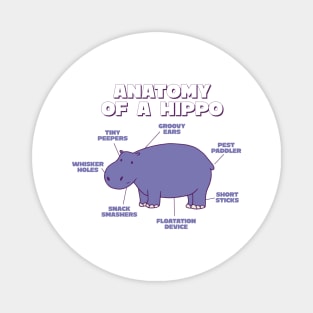 Anatomy Of A Hippo Sweet Hippo Explanation For Zoo Lovers Magnet